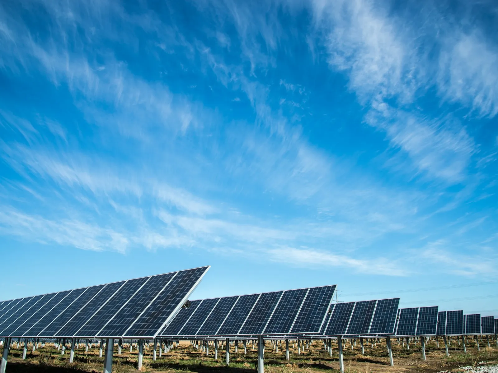 Rows of solar panels above grass