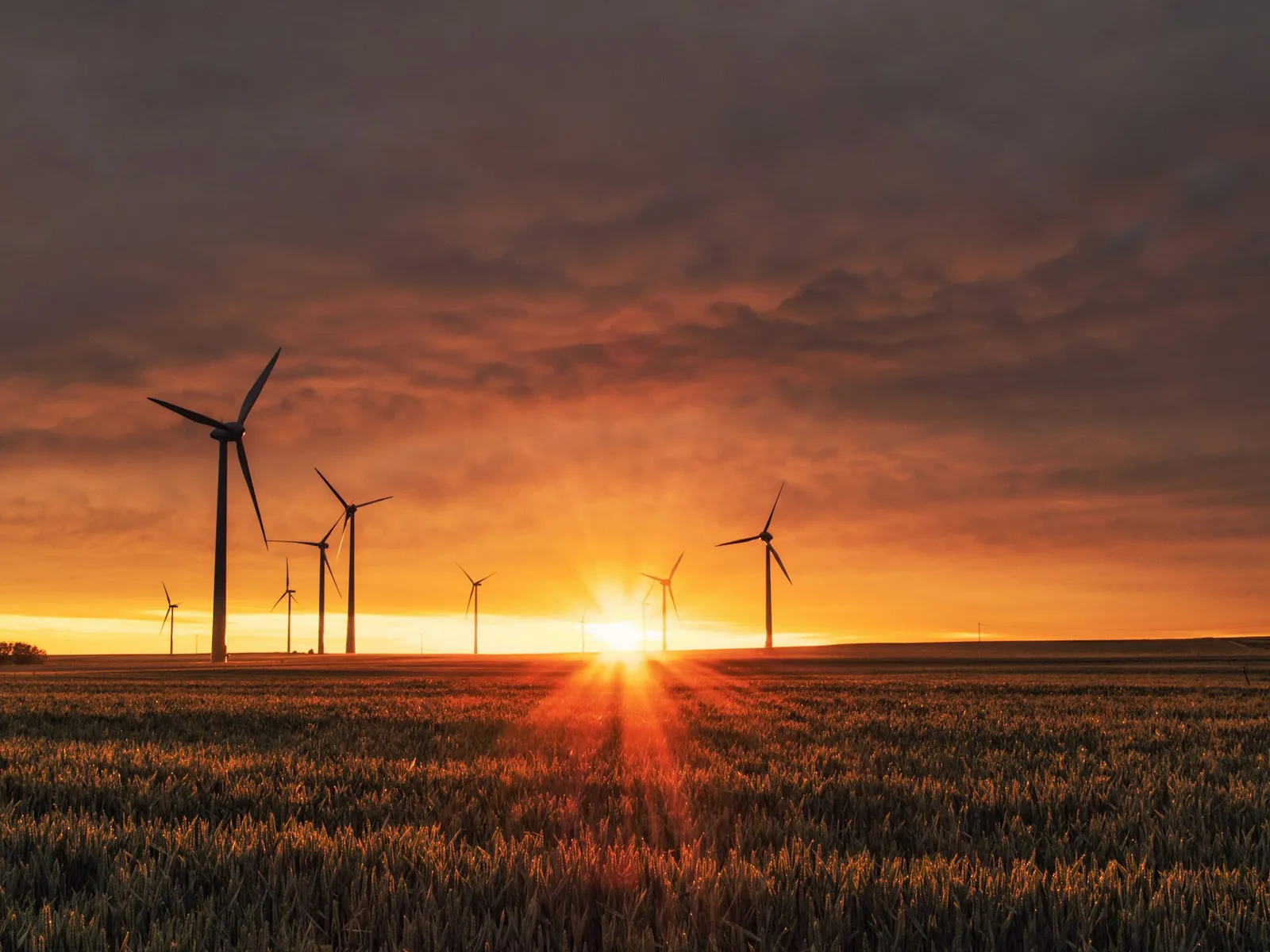 Wind turbines in a coastal landscape