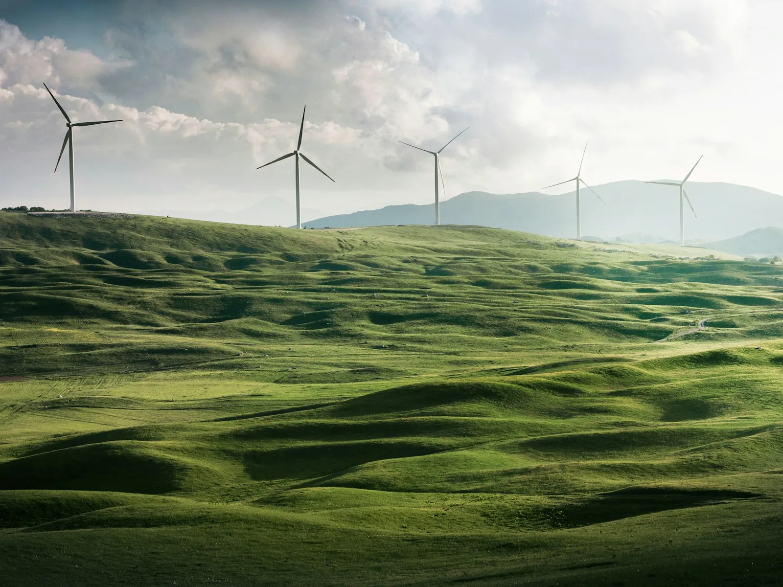 Wind turbines on a green ridge
