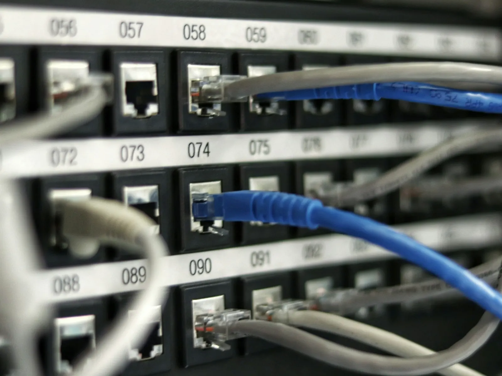 A dense patch panel of network cables in cool light