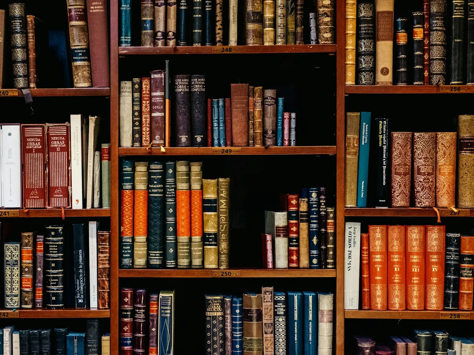 Quiet library with tall shelves and reading tables